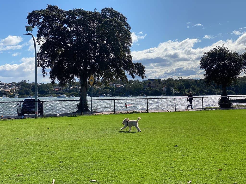 Historic Asylum Architecture
