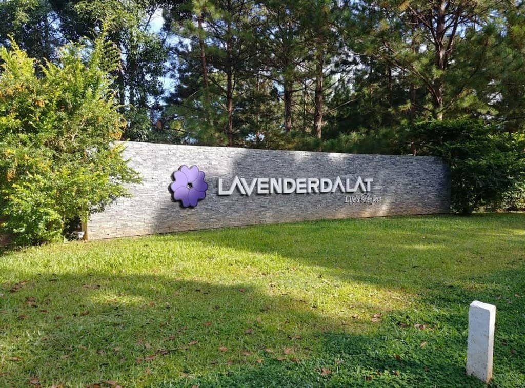 Vibrant Lavender Fields