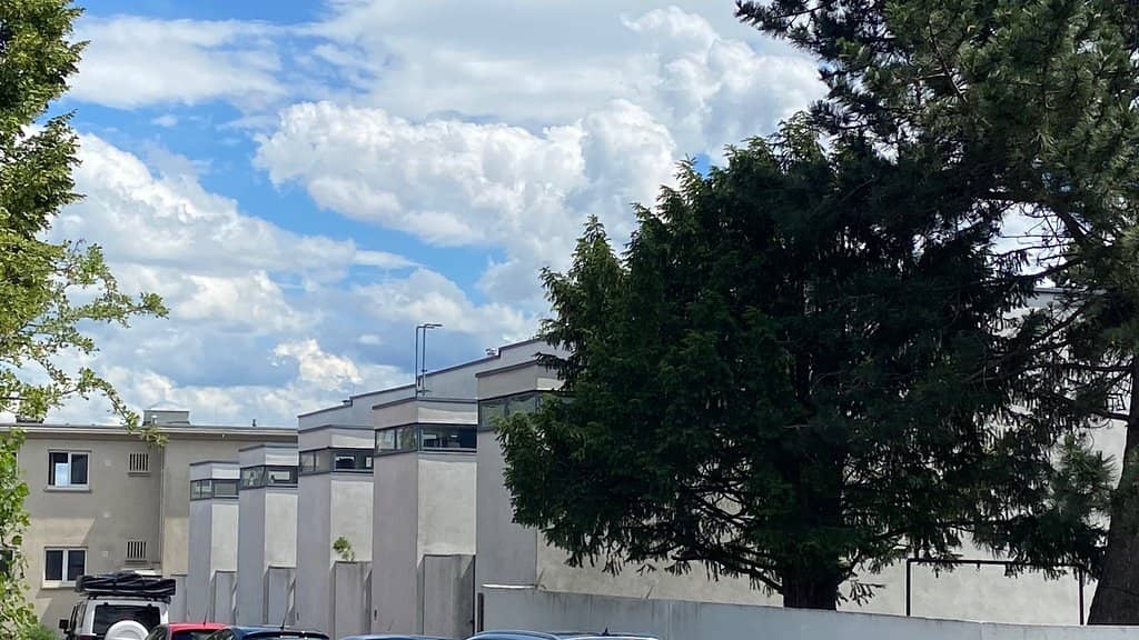 Mies van der Rohe's Vision