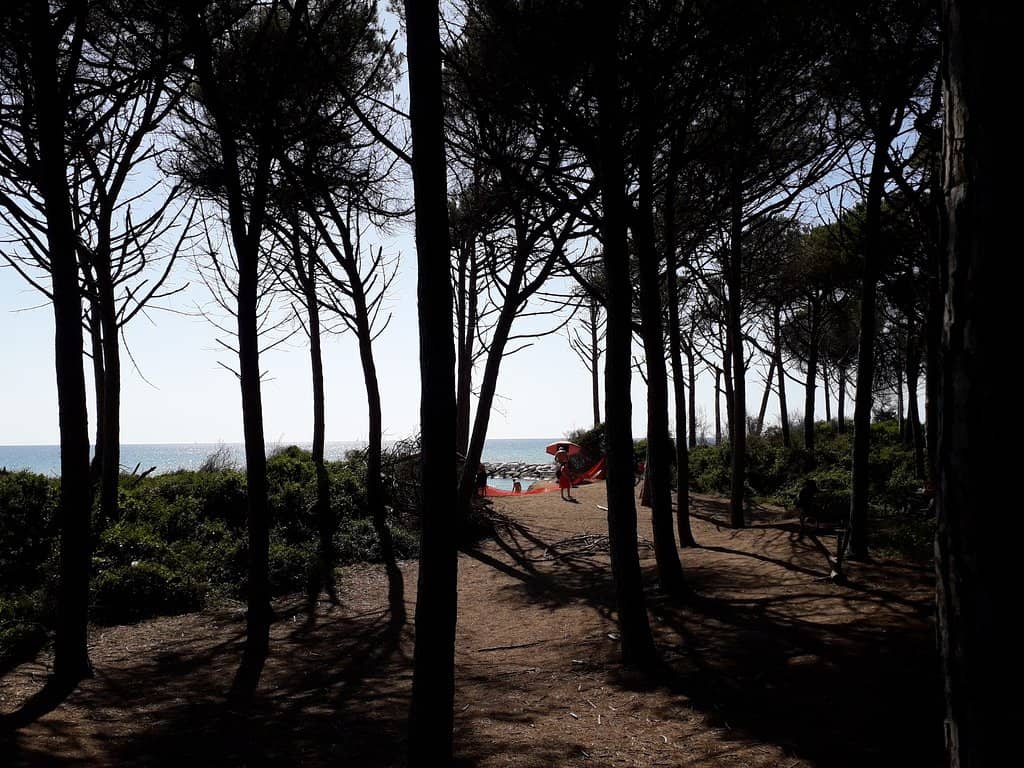 Seaside Trails