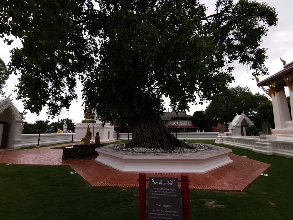 Intricate Interior Paintings