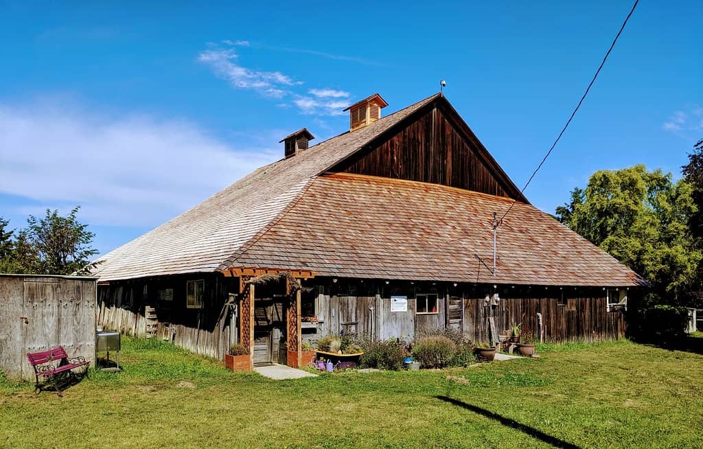 Essential Oil Distillation Demo