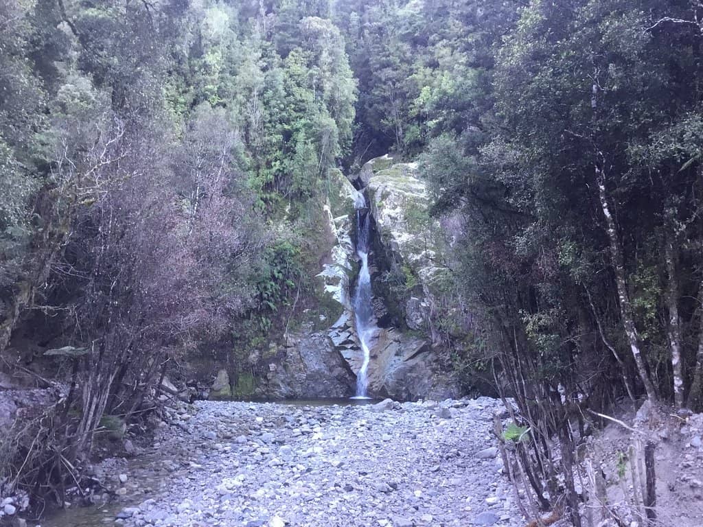 Lake Kaniere Beach