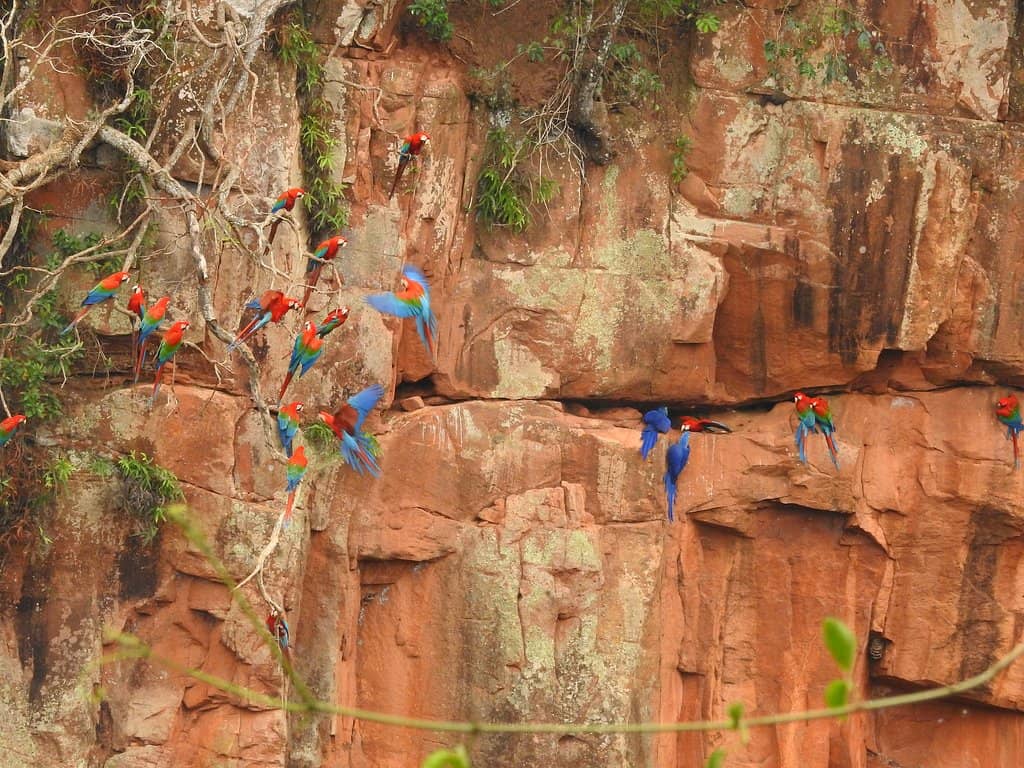 Vertical photo