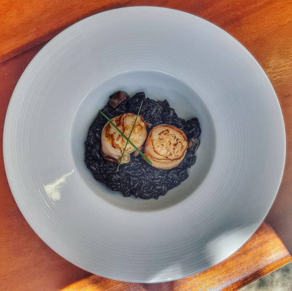 Modern Mediterranean Cuisine