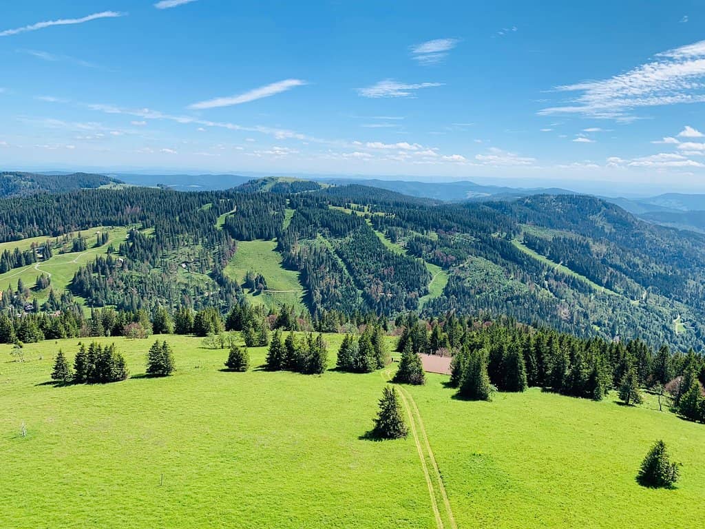 Black Forest Ham Museum