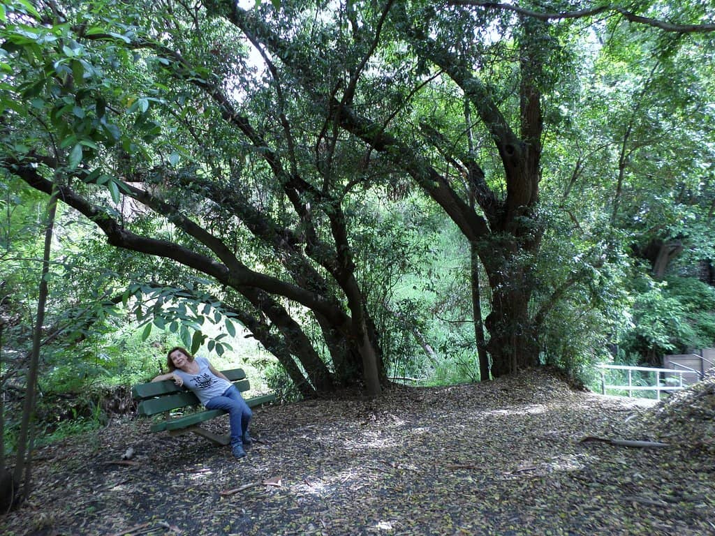 Vertical photo