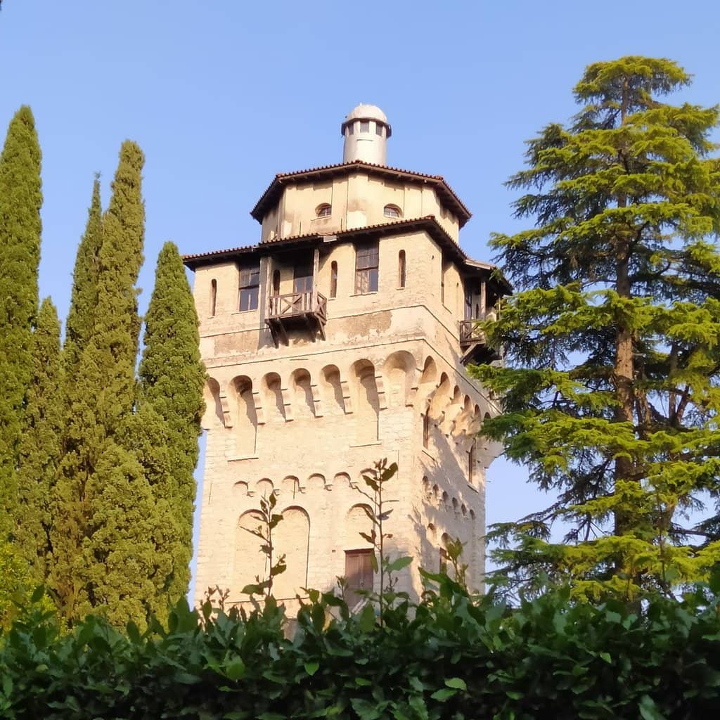Vertical photo