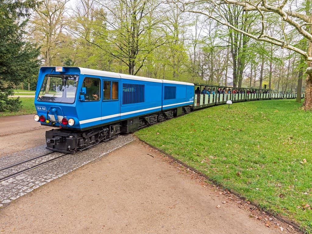 The Miniature Train Ride