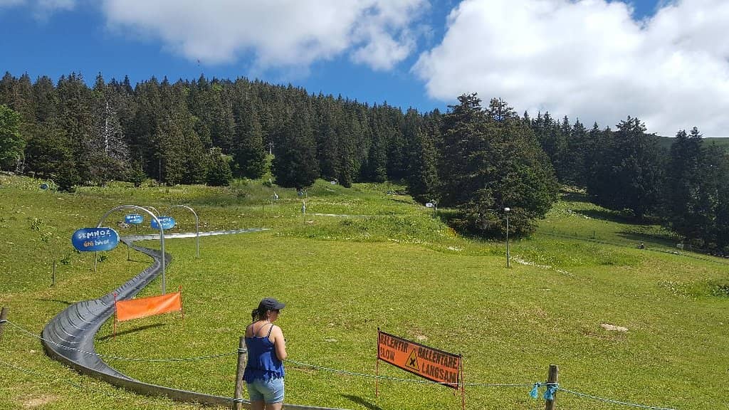 Summer Toboggan Run