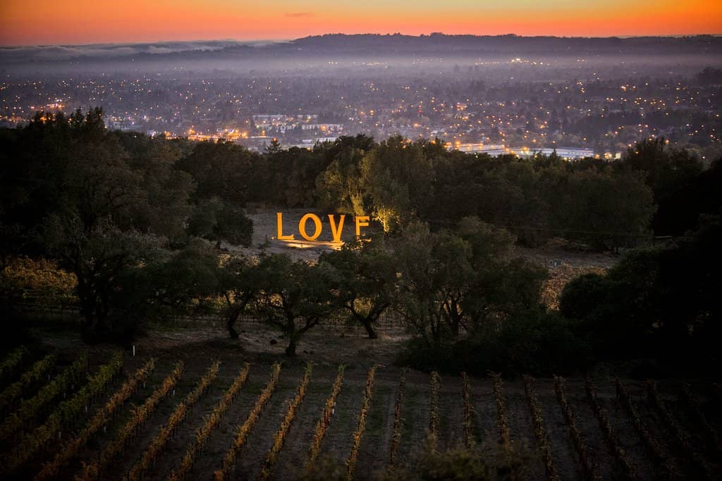 Panoramic Vineyard Vistas