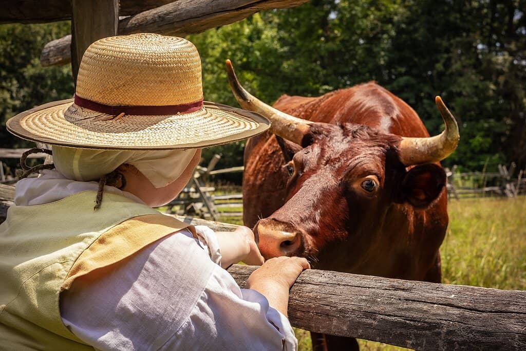 Maryland Dove Boat Tour