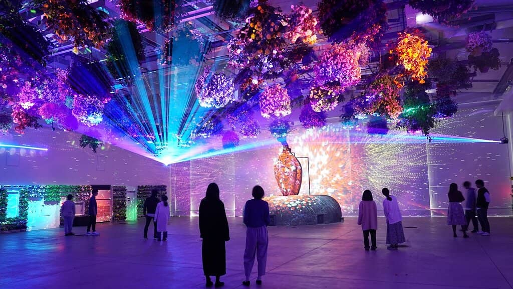 Digital Art Projections