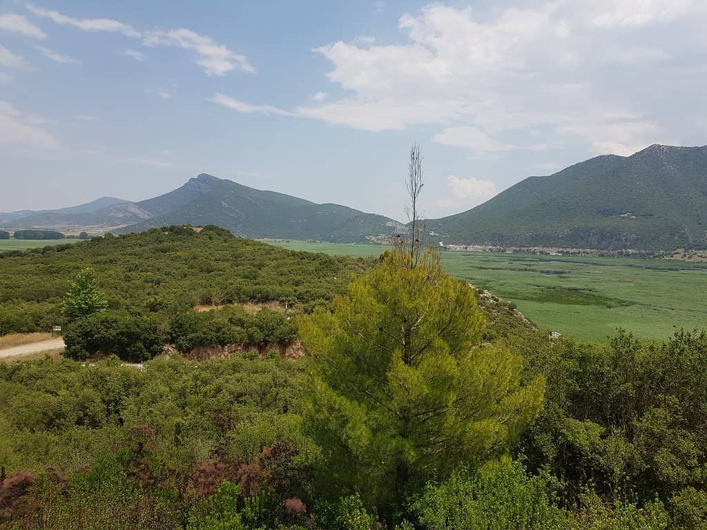 Stymphalian Birds Mythology