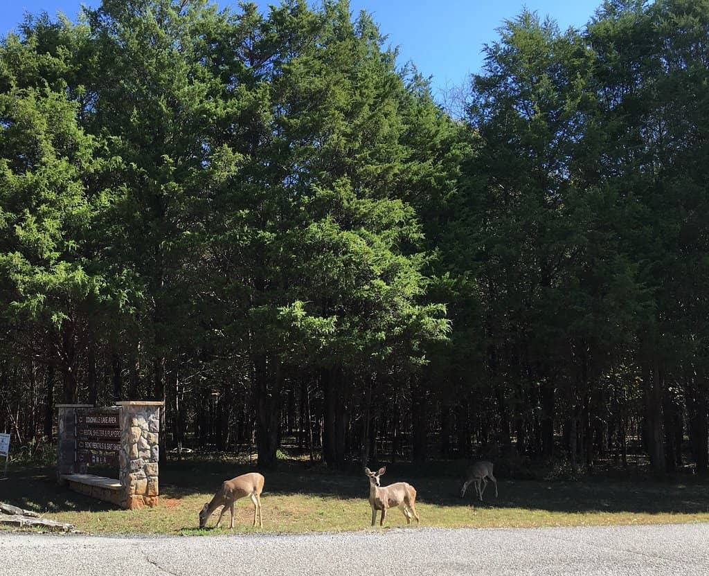 Couchville Lake Loop