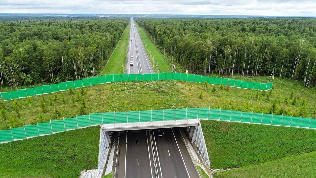 Bridge Aesthetics