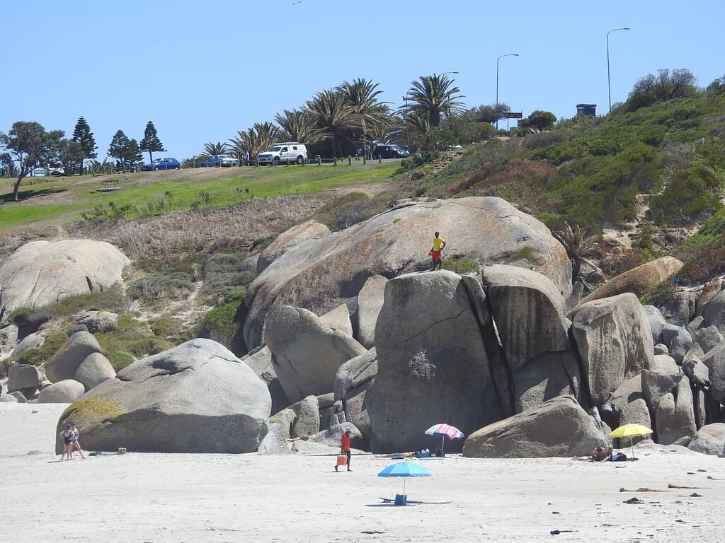 Vibrant Beachfront Promenade