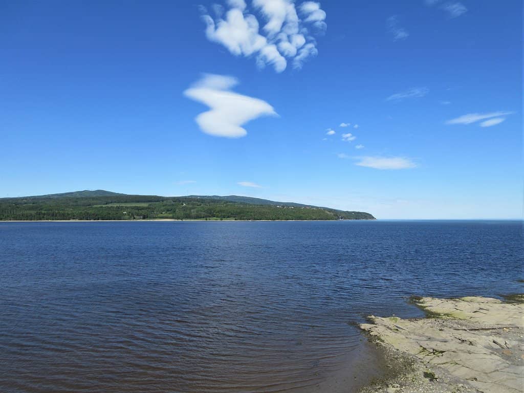 Alexis Le Trotteur's Legacy