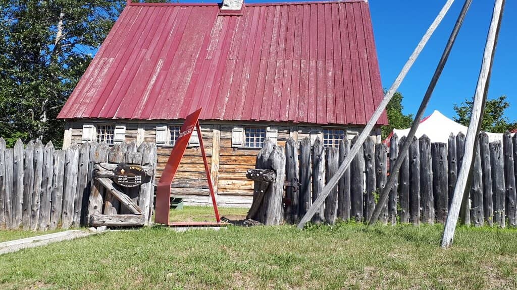 Curated Book Selection