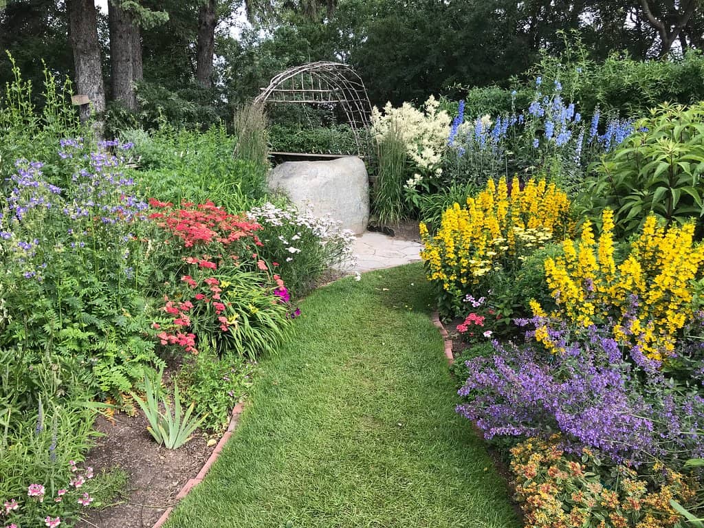 Rose Garden