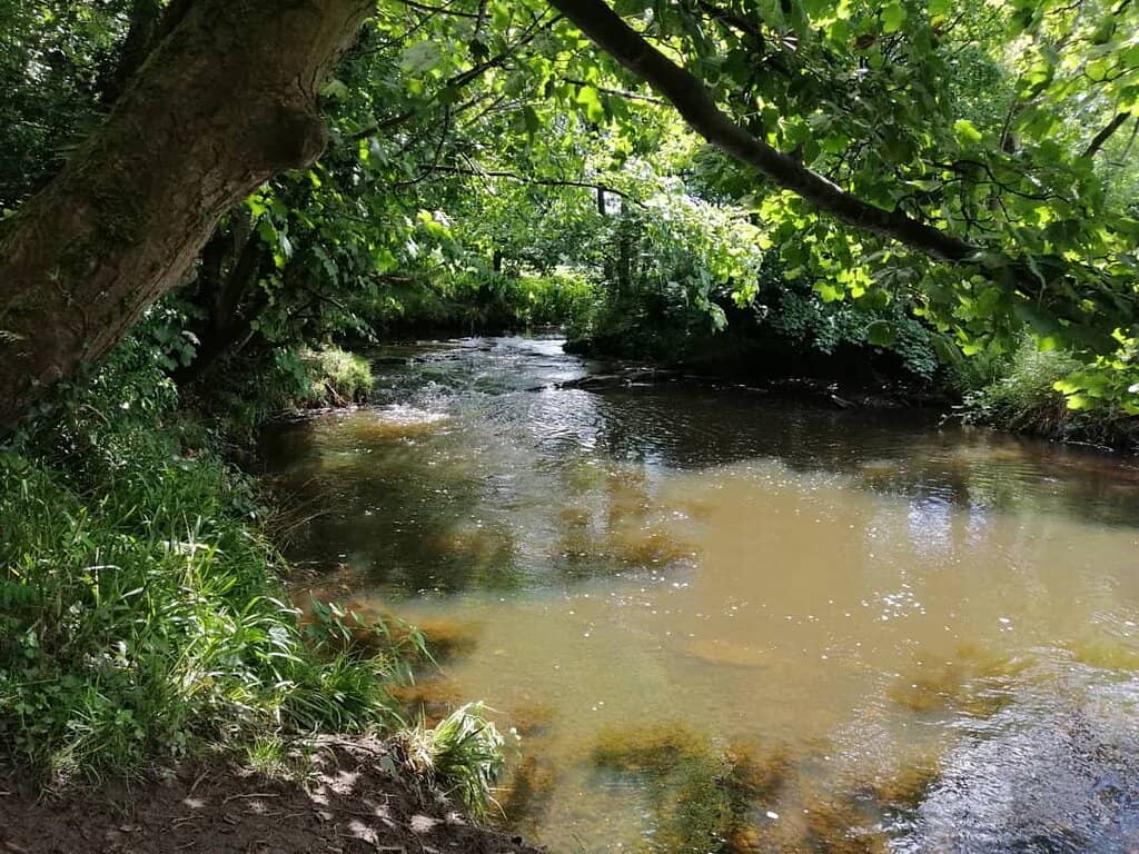 Adventure Playground