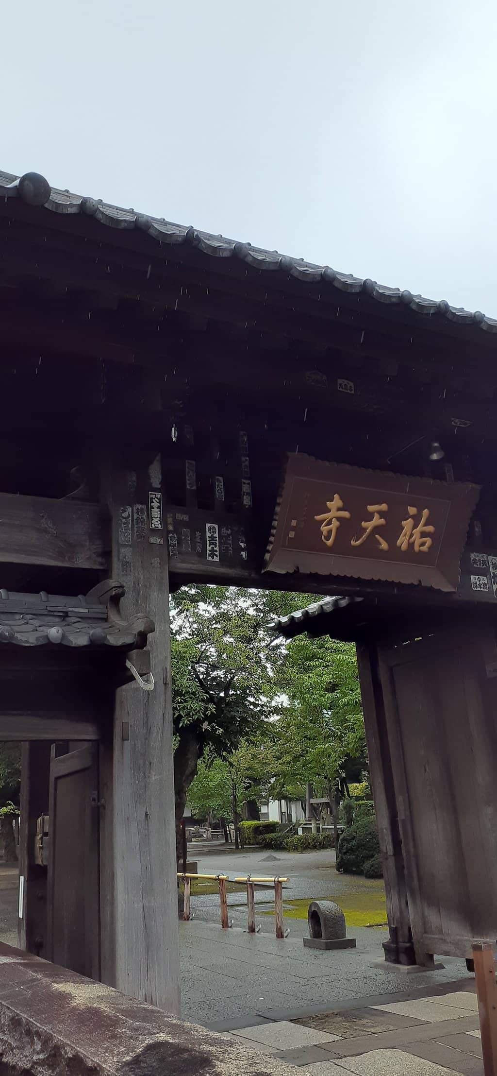 Peaceful Atmosphere