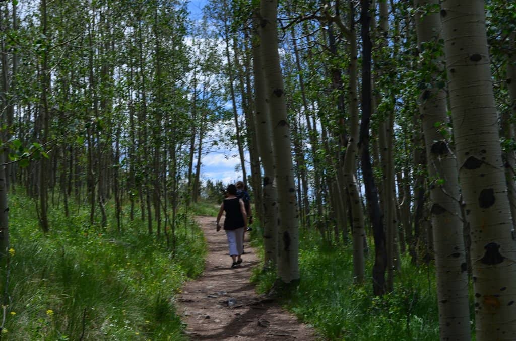 Panoramic Mountain Views