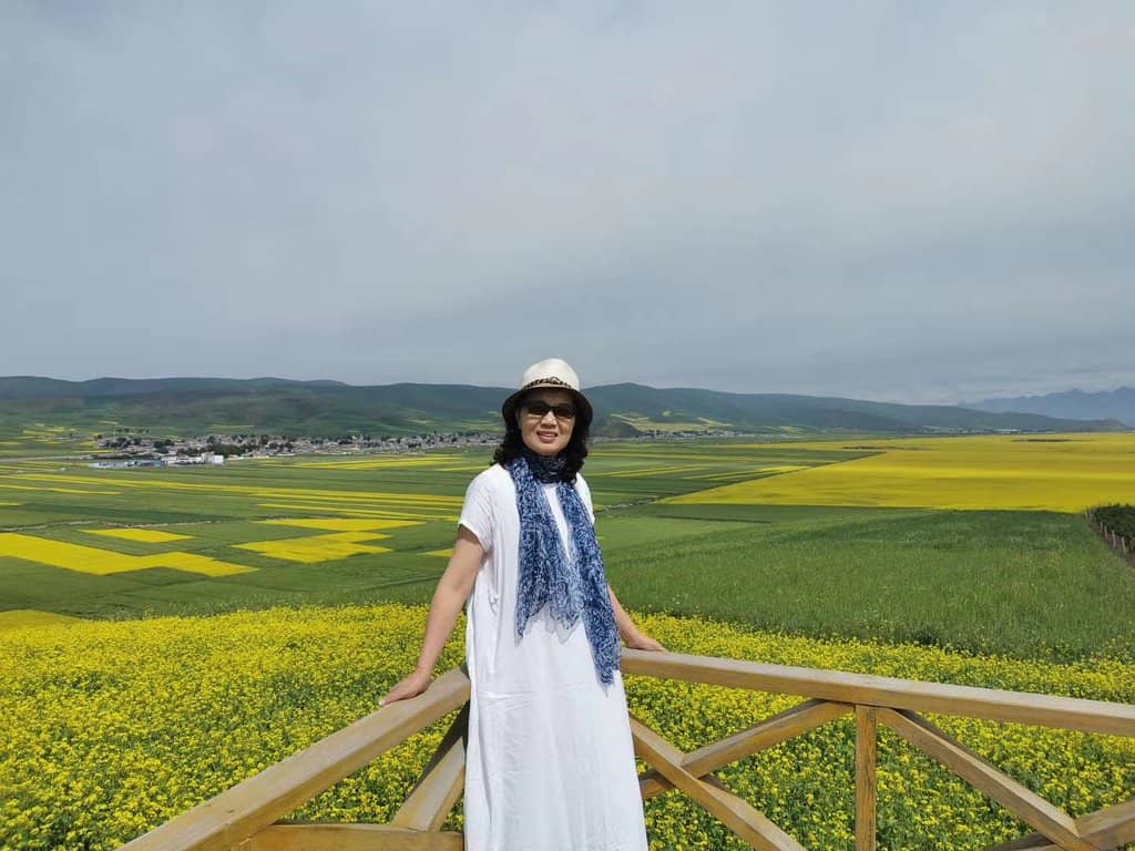 Vibrant Flower Fields