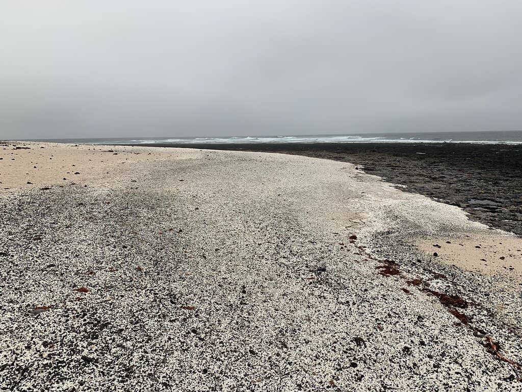 Popcorn-Like Formations