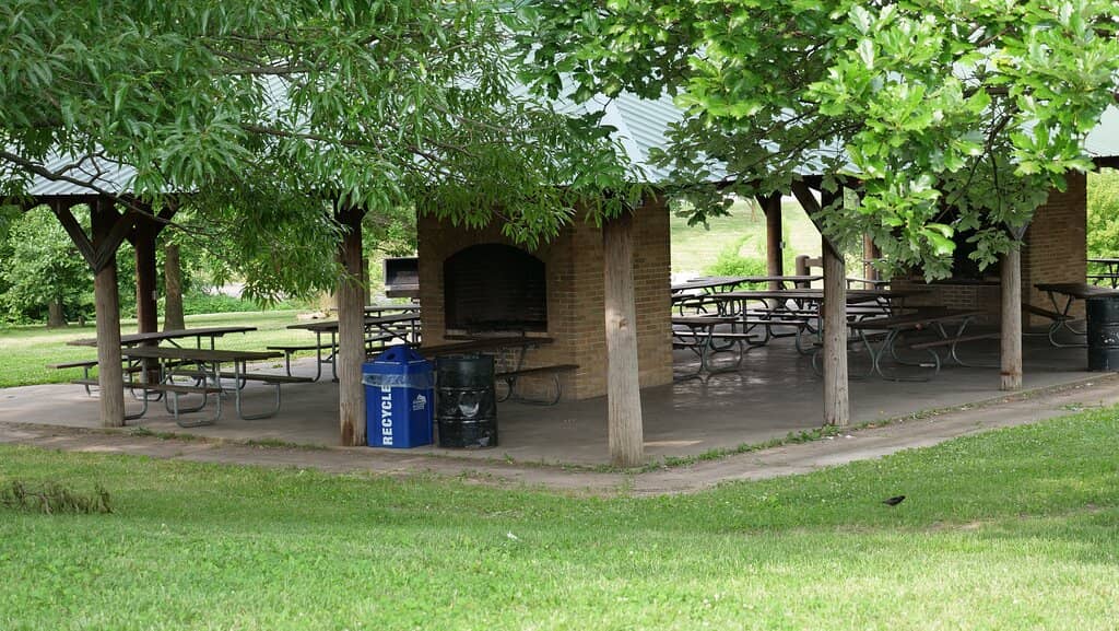Dog-Themed Playground
