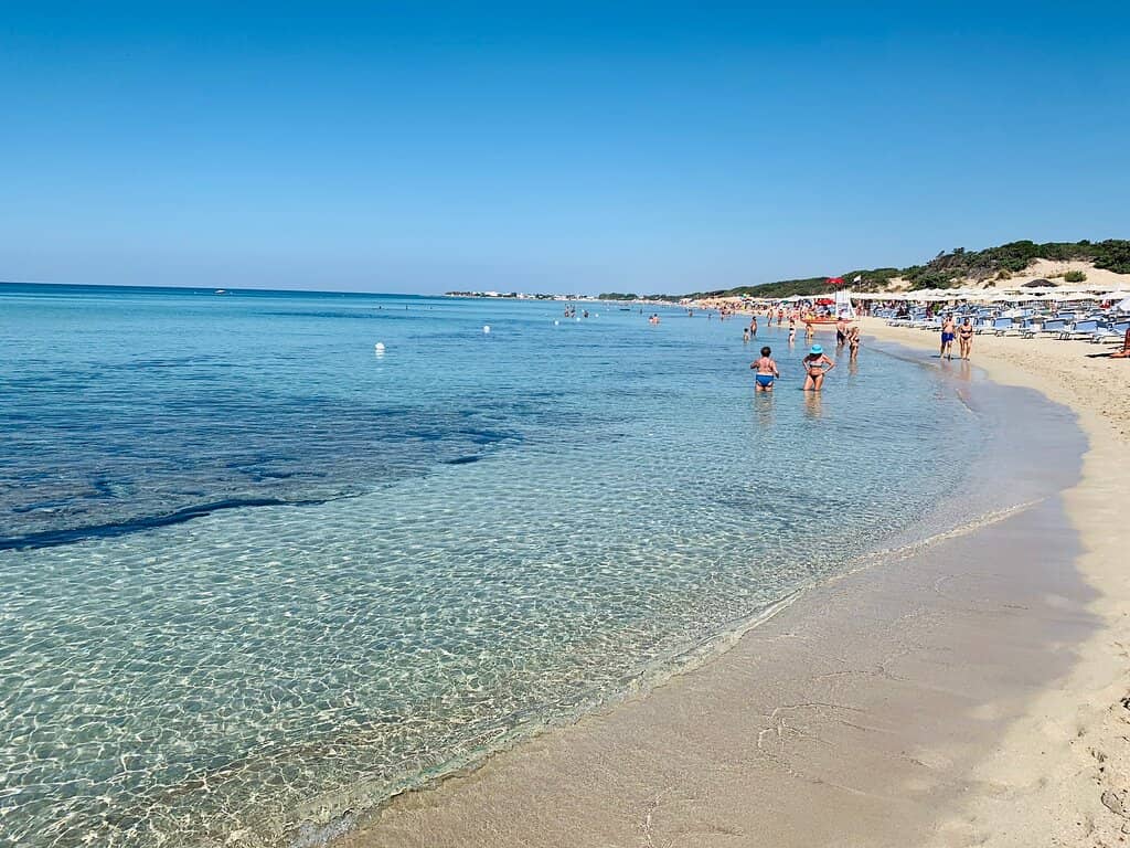 Natural Dune Landscape