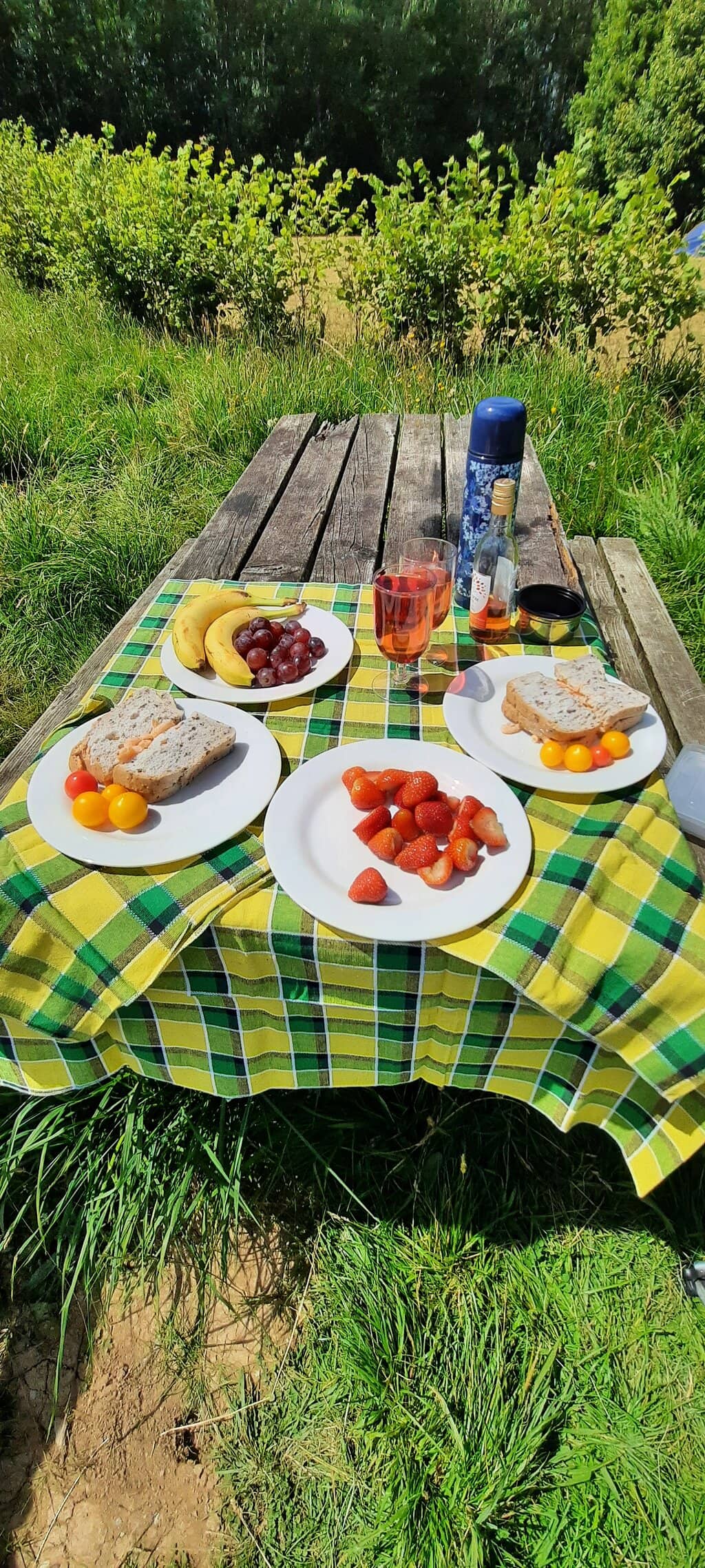 Scenic Lakeside Walks