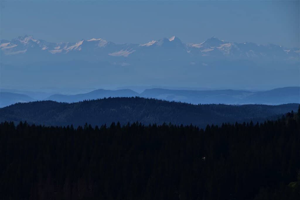 Feldberg Museum