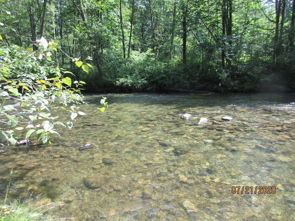 Wandering Creek Trails