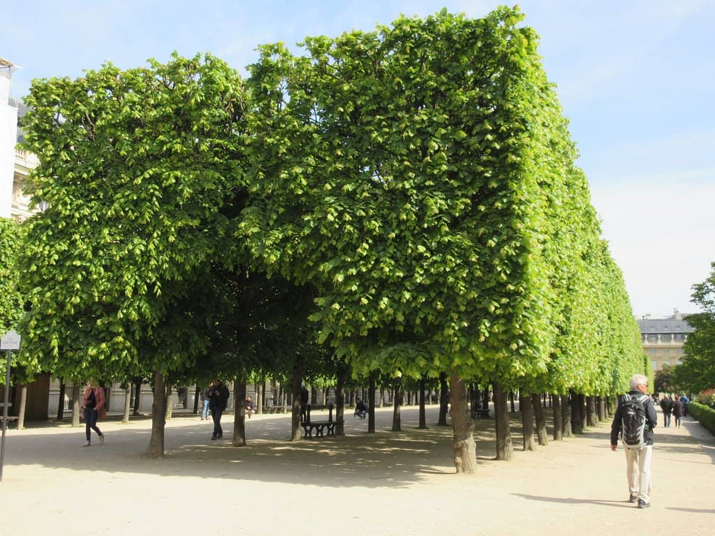 17th-Century Arcades