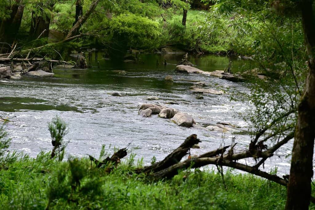 Broken Bow Lake