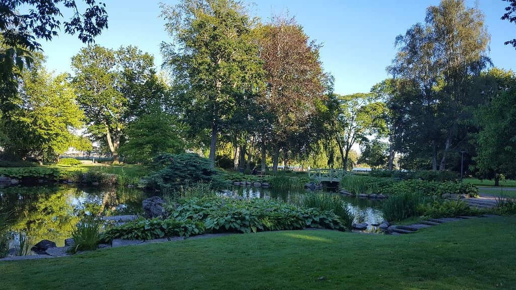 Summer Events & Markets