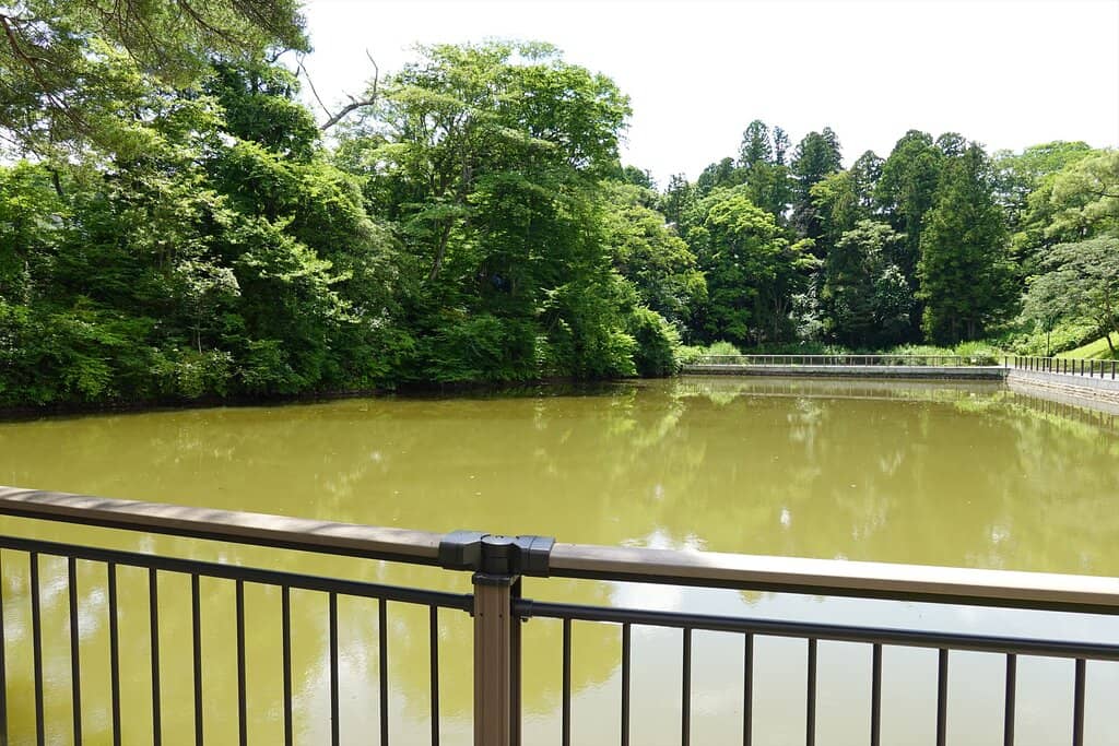 Aonuma Pond