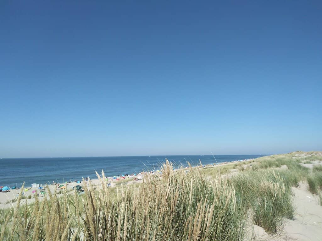 Wide Open Spaces