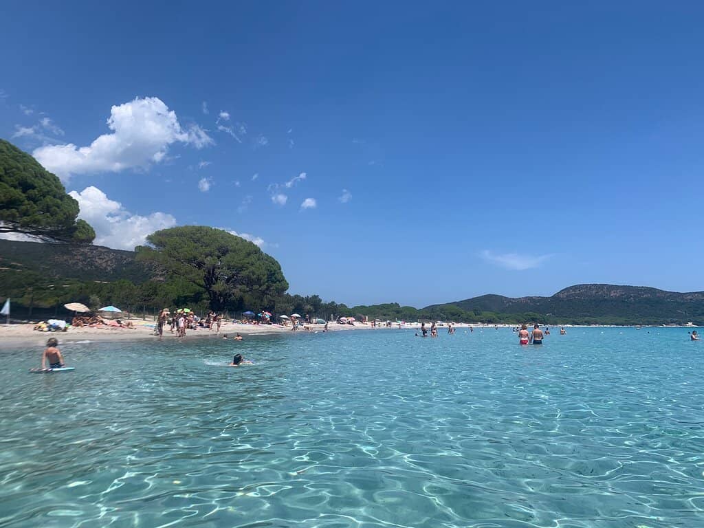 Beachfront Dining & Drinks