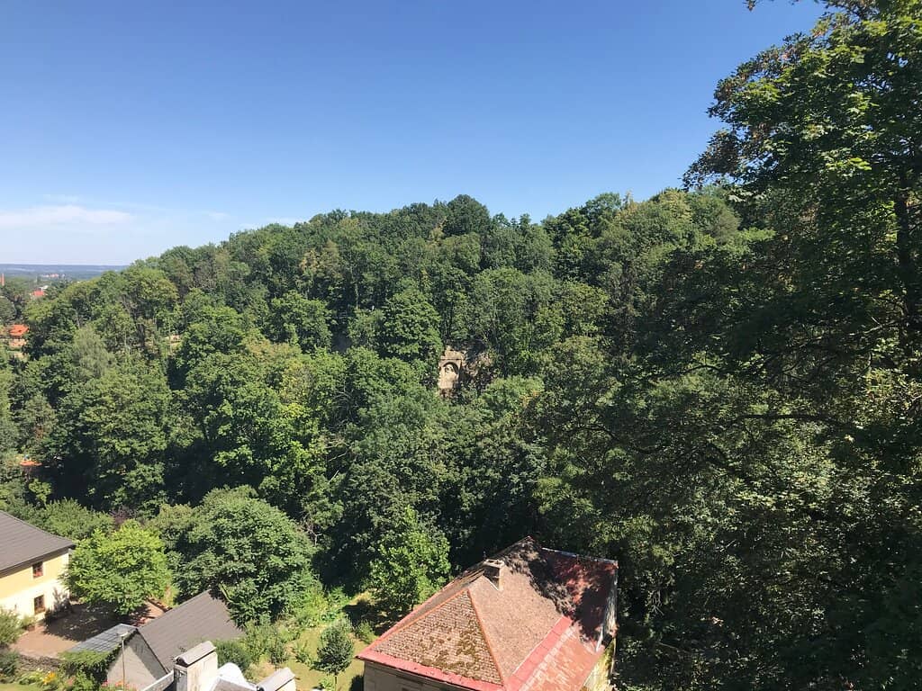 Vertical photo