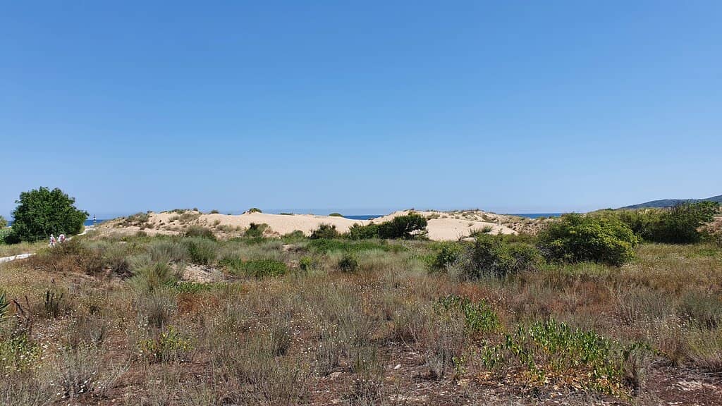 Beachfront Restaurants