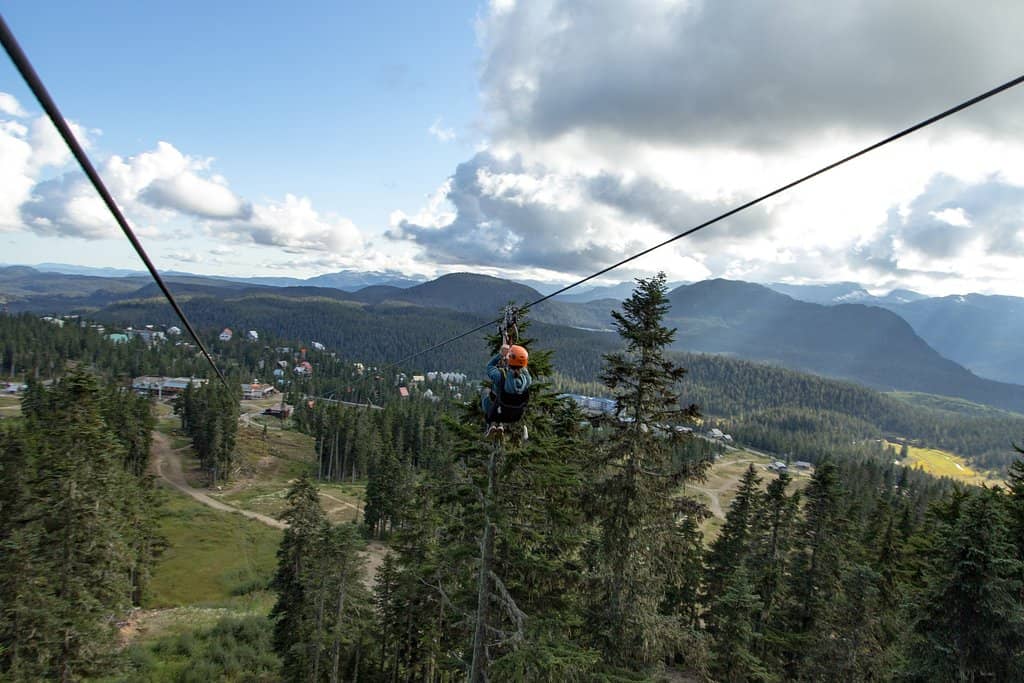 Summer Hiking Trails