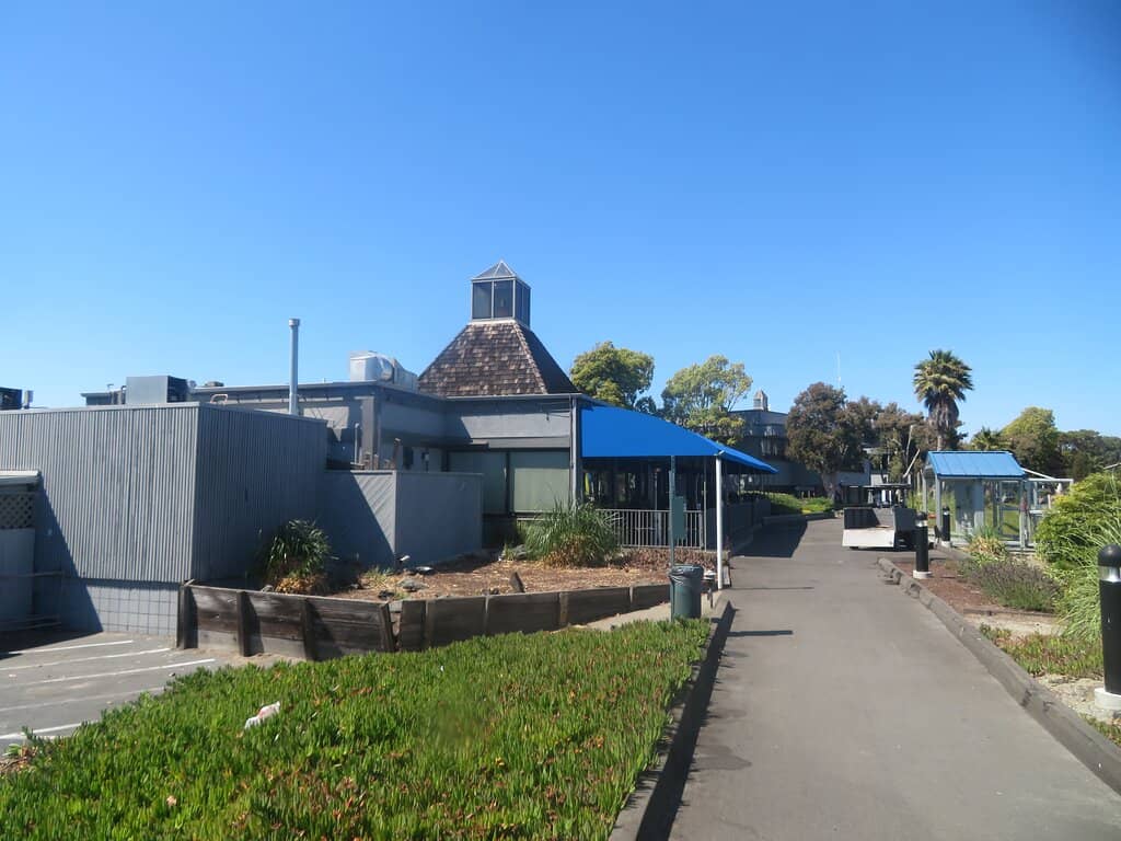 Serene Harbor Atmosphere