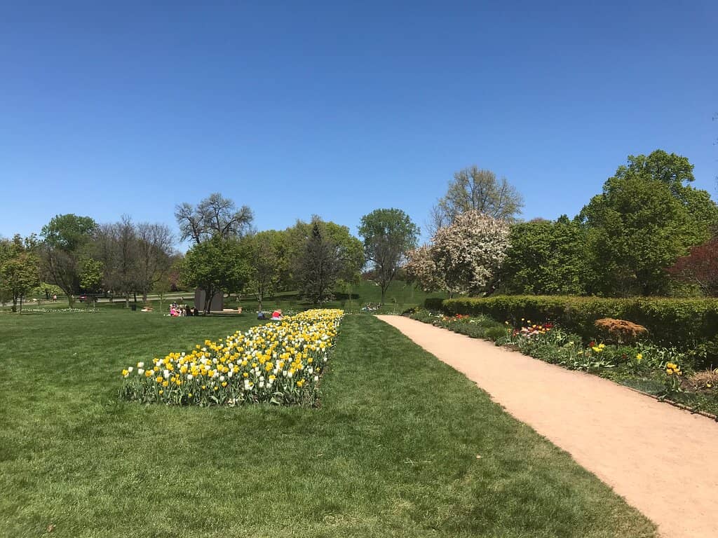 Lake Harriet Views