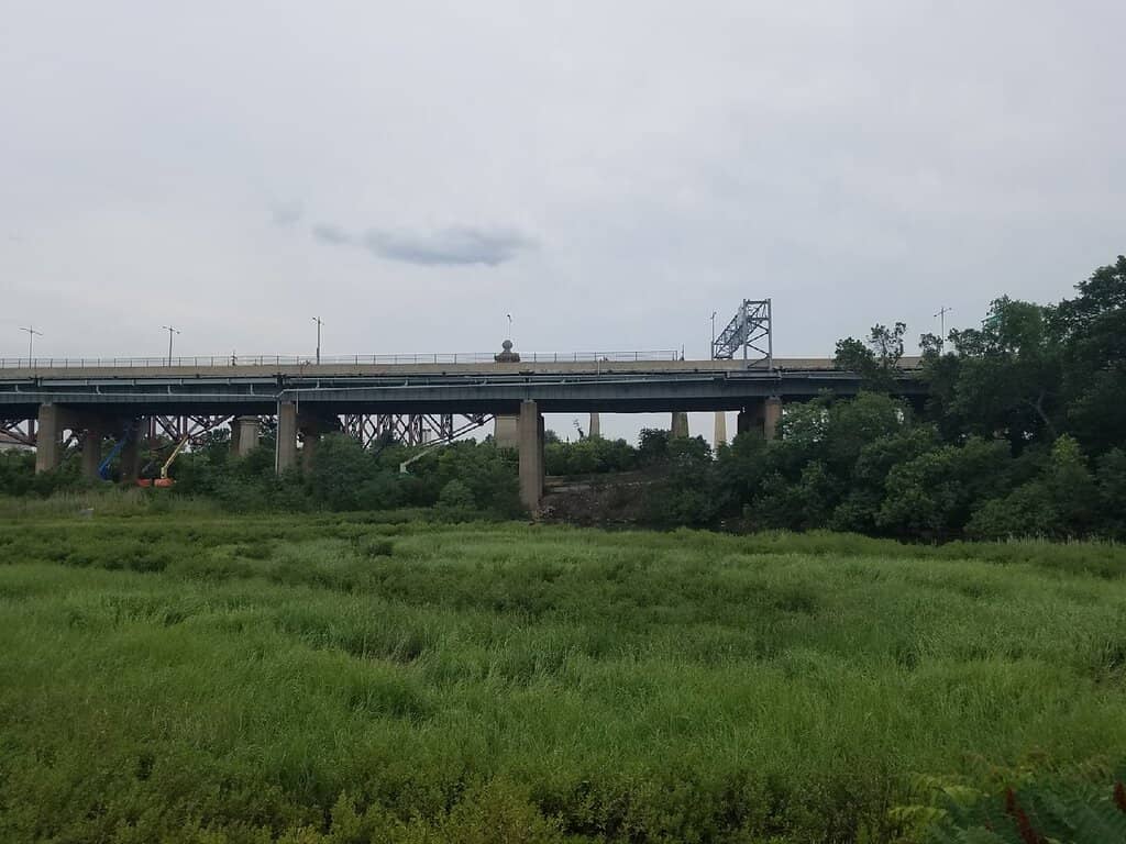 Restored Wetlands and Nature