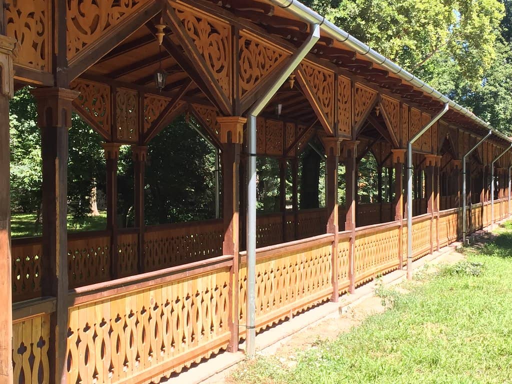 Forest Walking Trails