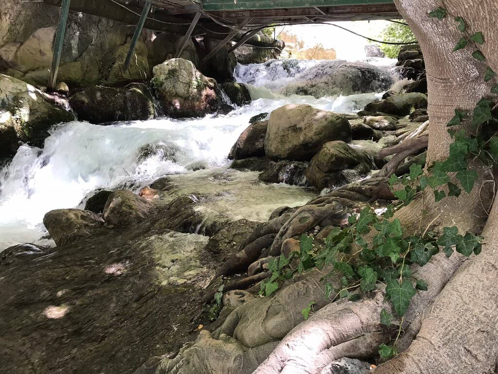 Riverside Dining