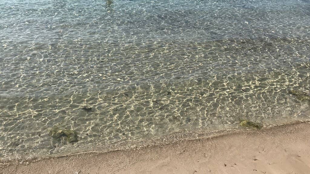 Rocky and Sandy Shores