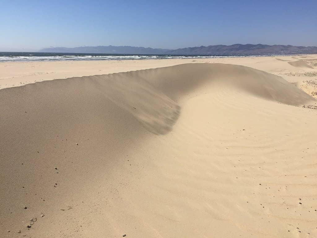 Sandboarding and Dune Riding